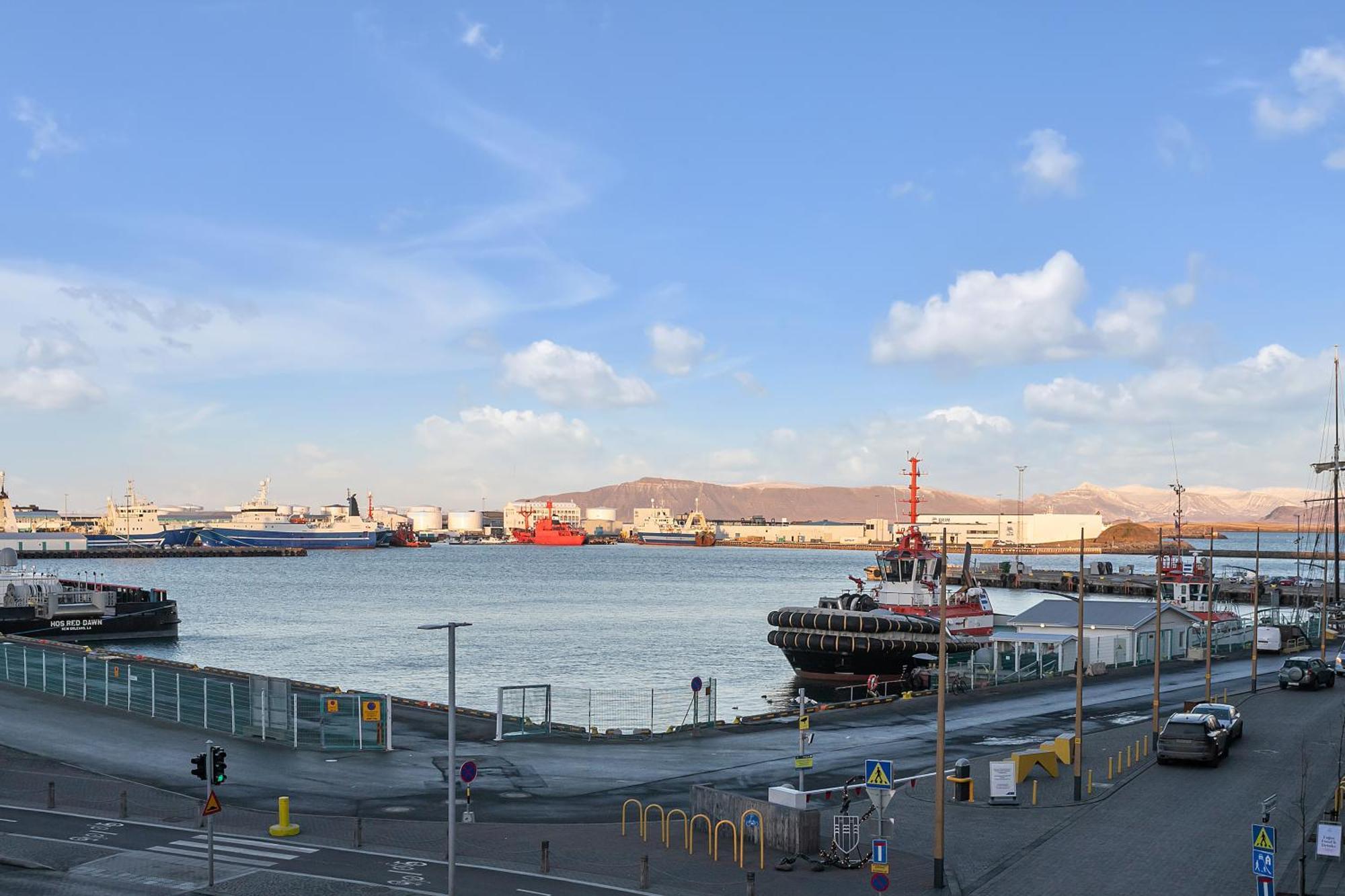 Sunny Central Reykjavik Apartment - Harbour View Экстерьер фото